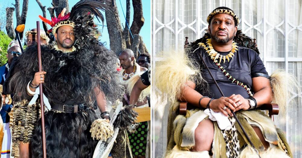 King Misuzulu ka Zwelithini killed a lion