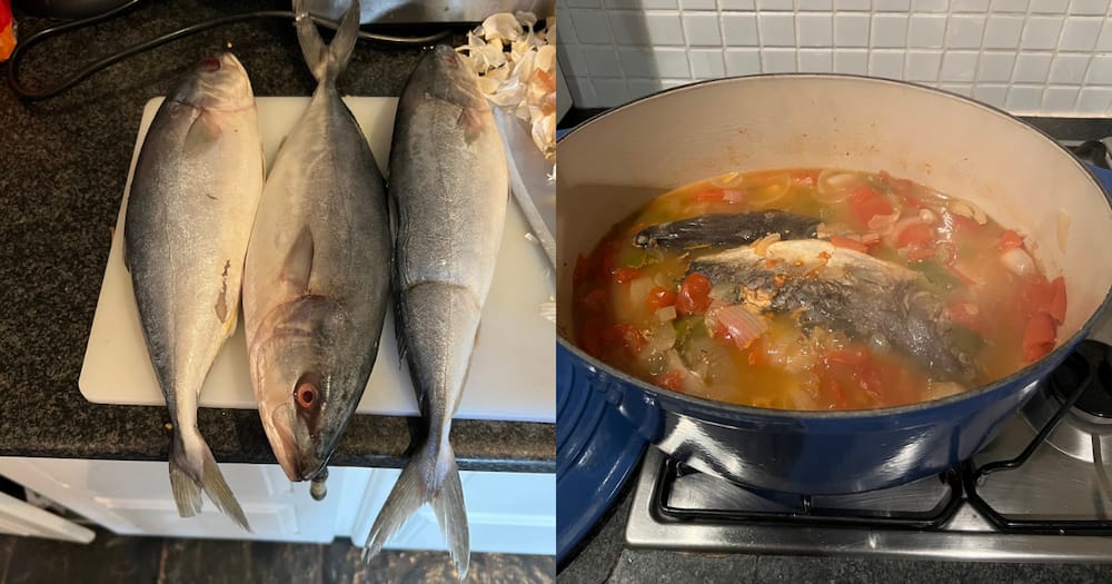 Tito Mboweni, Fish, Dinner, Reactions