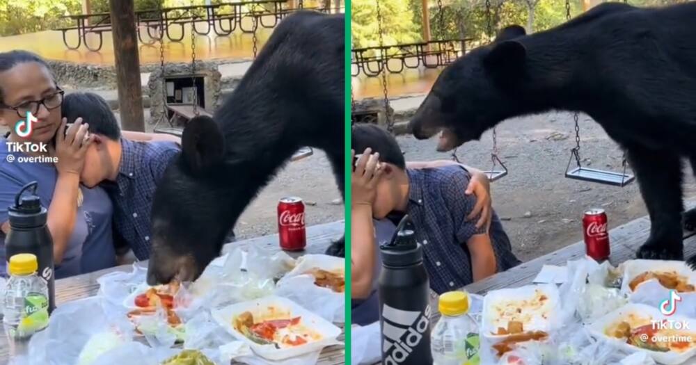 A brave mother protected her son from a wild bear