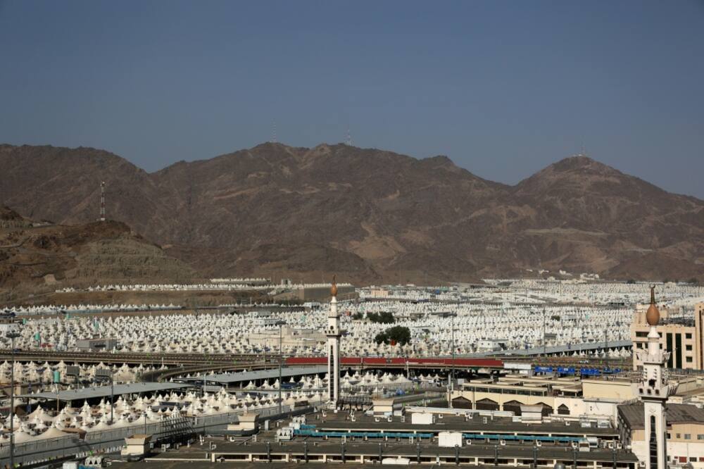 Tents set up to host pilgrims in Mina