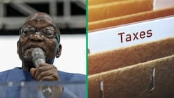SARS in hot water for divulging Jacob Zuma’s tax records