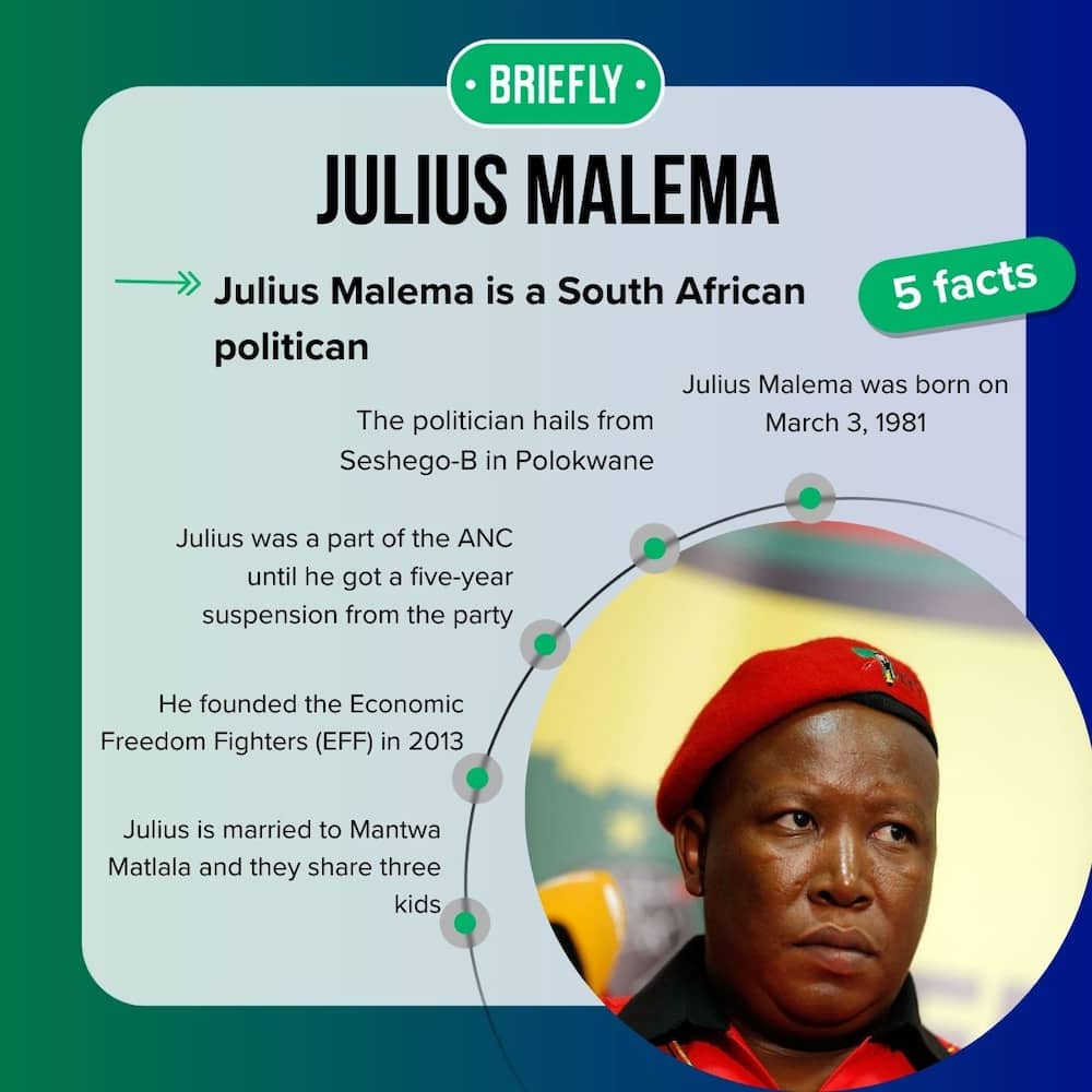 How old is Julius Malema of South Africa?