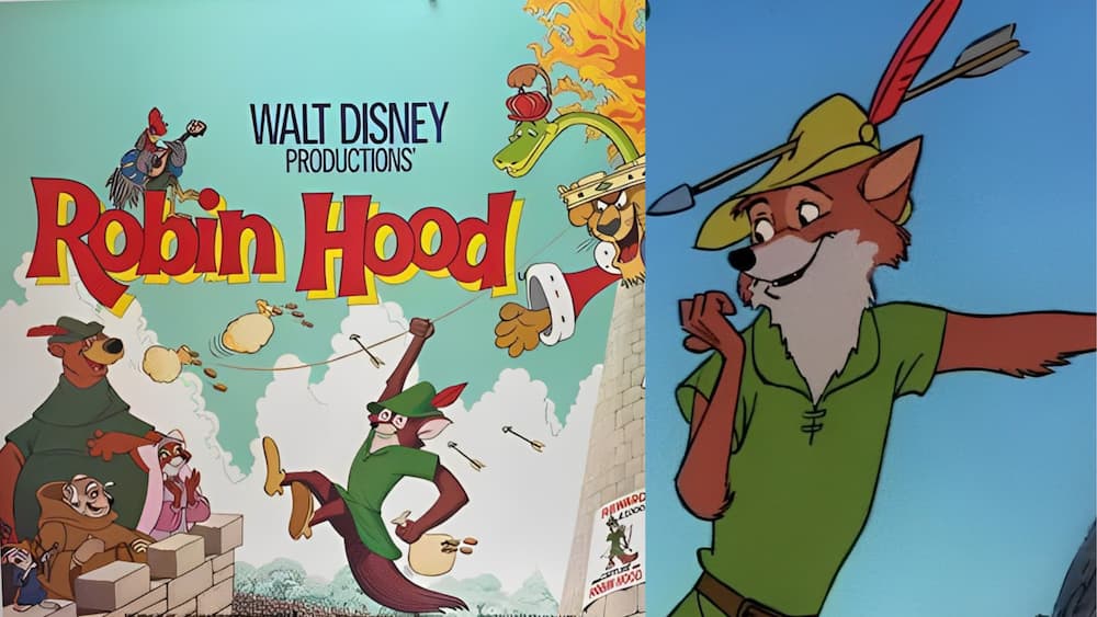 Robin Hood from the Disney universe