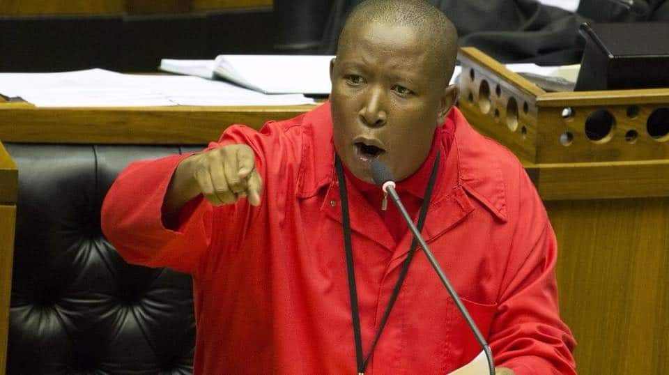 Julius Malema biography: Age, Wife, Kids, House, Political Career and Contact Details