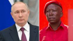 Julius Malema unhappy about EU's ban on Russian TV network and news agency, South Africans share their responses