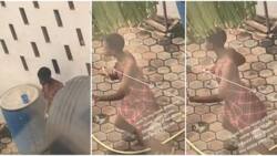 Lady brushing her teeth at backyard starts dancing after hearing Buga from another compound, video goes viral