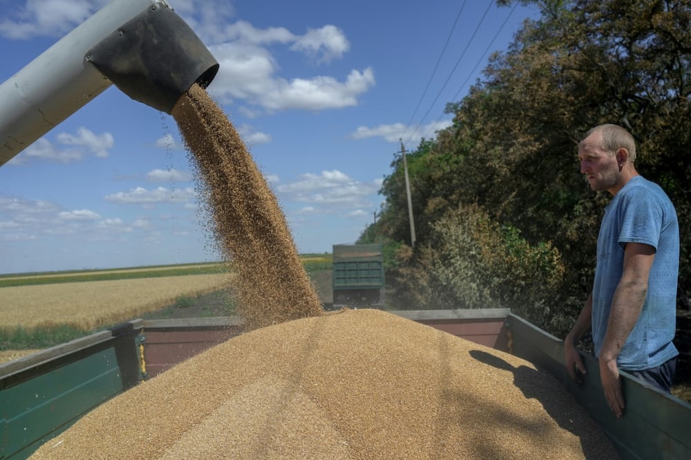 Up to 25 million tonnes of wheat and other grain have been blocked in Ukrainian ports