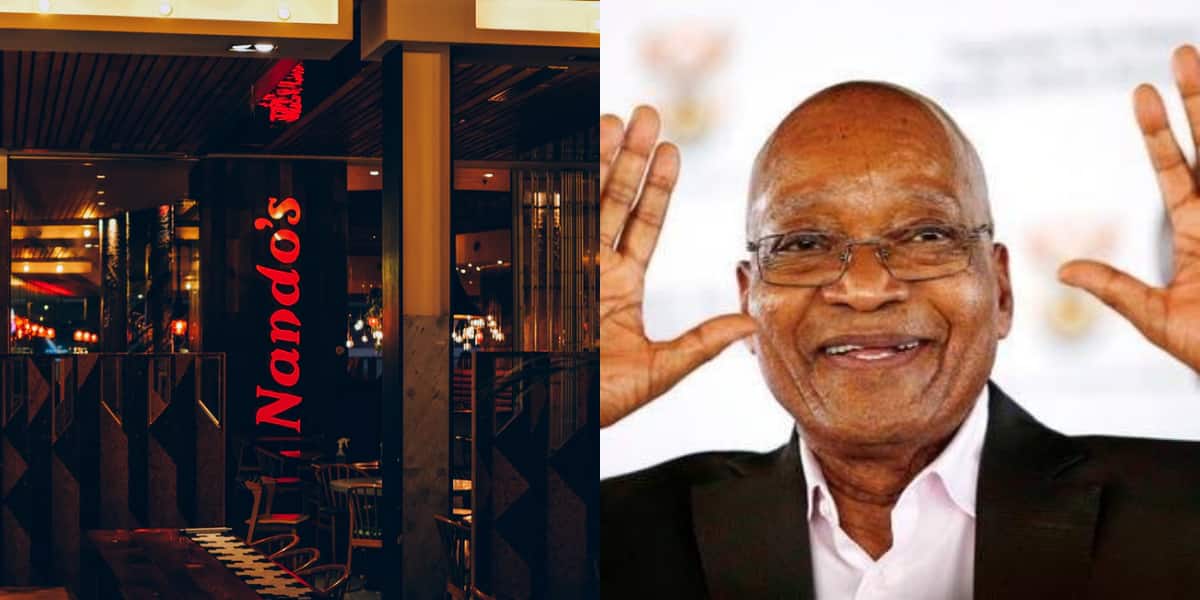 Nando's Upsets Many Jacob Zuma Stans With Spicy Ad: "Don't ...