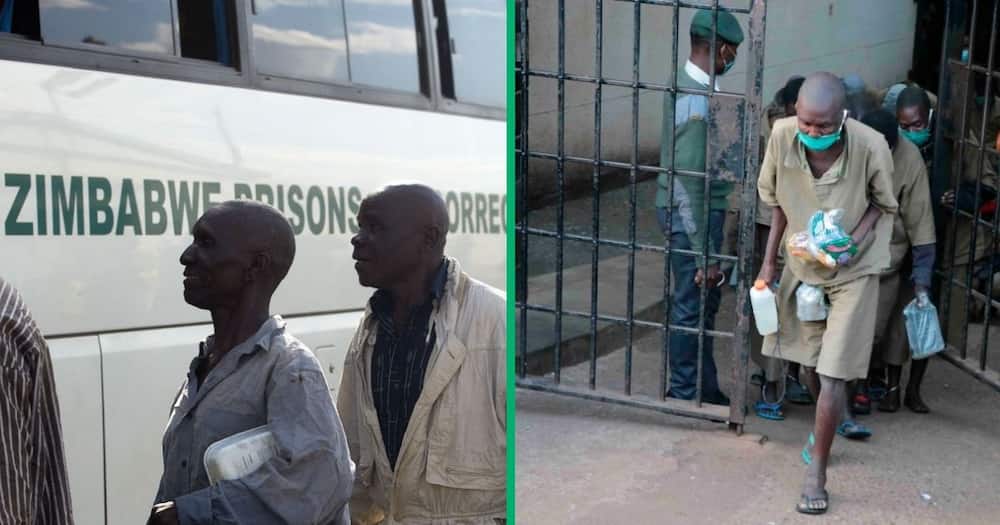 Thousands of prisoners have been freed in Zimbabwe.
