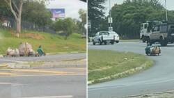 Man's creative way of moving on the road has locals appreciating South African ingenuity
