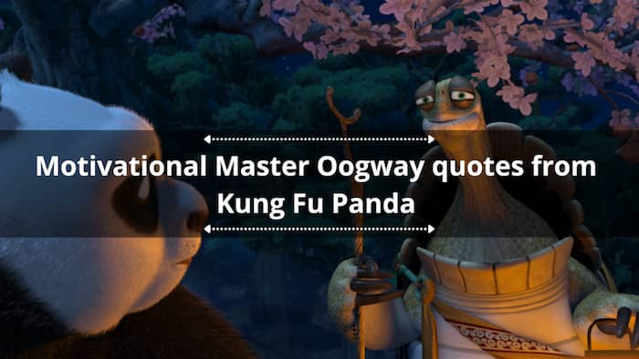 Top 25 Master Oogway quotes from Kung Fu Panda for motivation