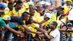 Mamelodi Sundowns fans are confident heading into their CAF Champions League semi-final