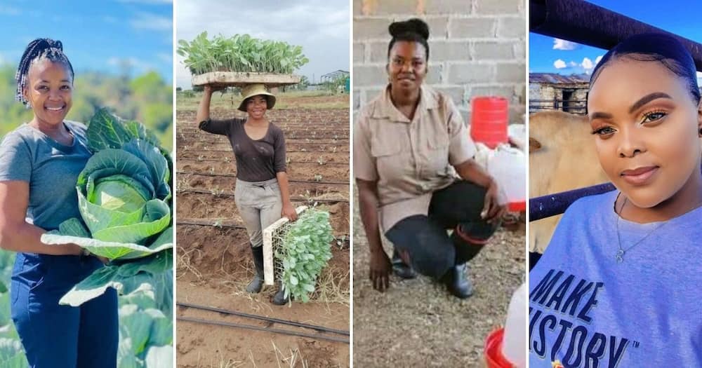Inspiring Mzansi Female Farmers