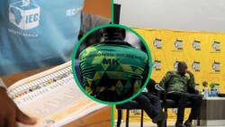 IEC fires employee supposedly behind ANC and MK party’s candidate lists leaks