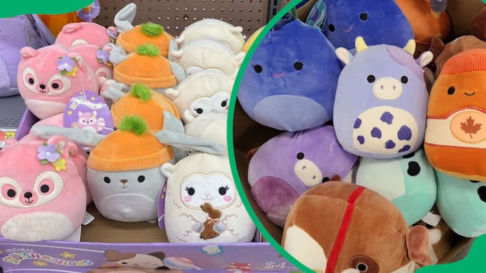 What is the rarest Squishmallow in 2024? Top 20 list (with images)