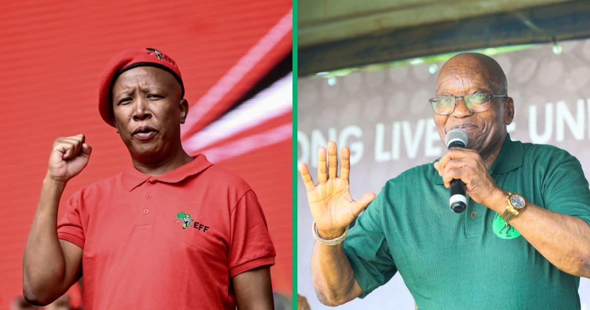 Real reason Julius Malema plans on meeting Jacob Zuma after the elections revealed