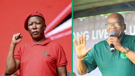 Julius Malema to meet Jacob Zuma on possible EFF and MK party alliance