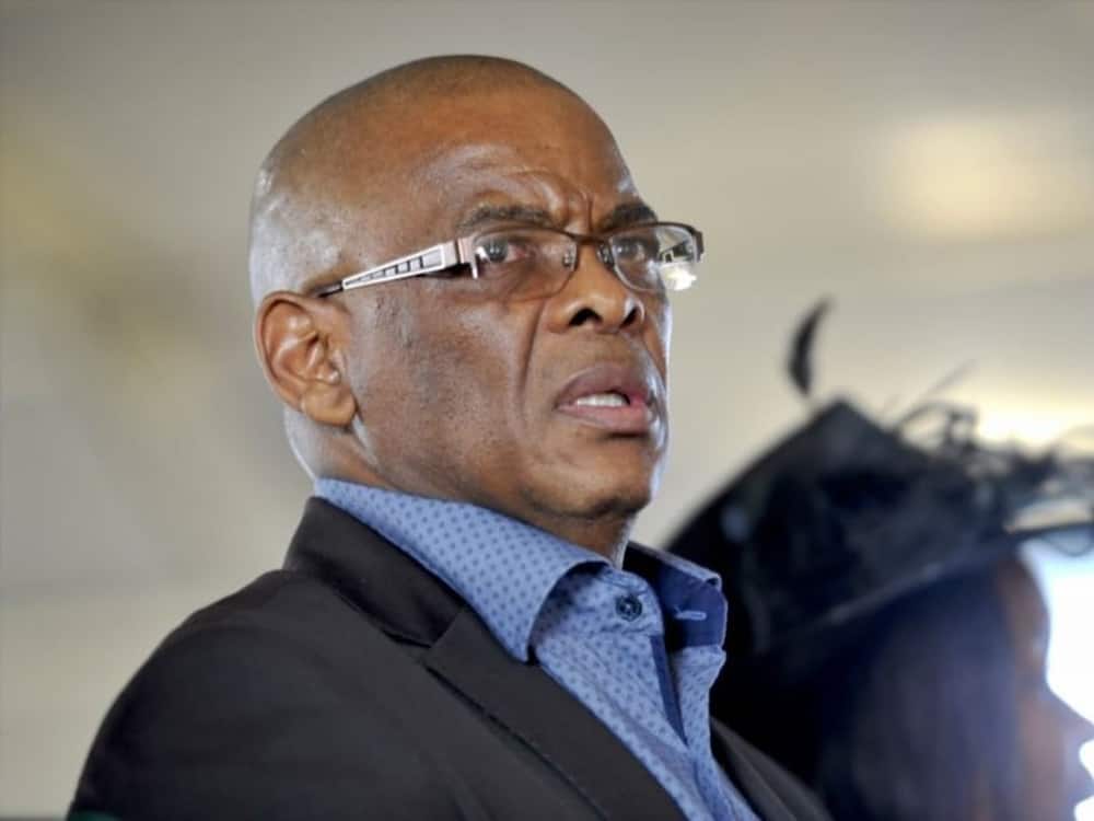 Ace Magashule age, children, education, party and house