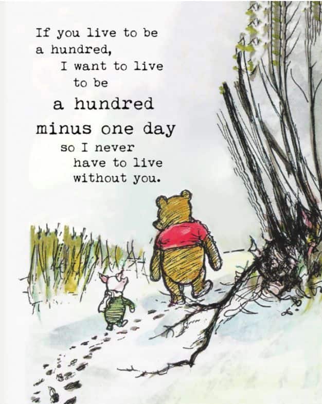 Winnie the Pooh quotes