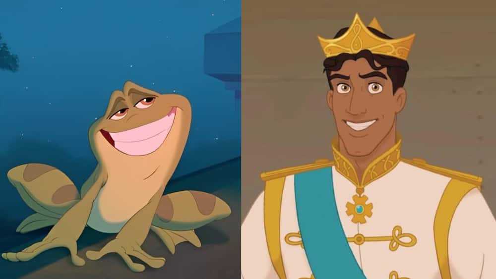 Prince Naveen from Disney's The Princess and the Frog