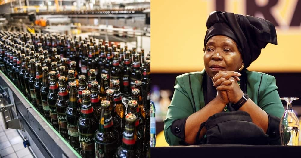 No alcohol this easter as Dlamini-Zuma extends booze ban to transportation