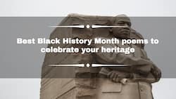 35 best Black History Month poems to celebrate your heritage in 2024