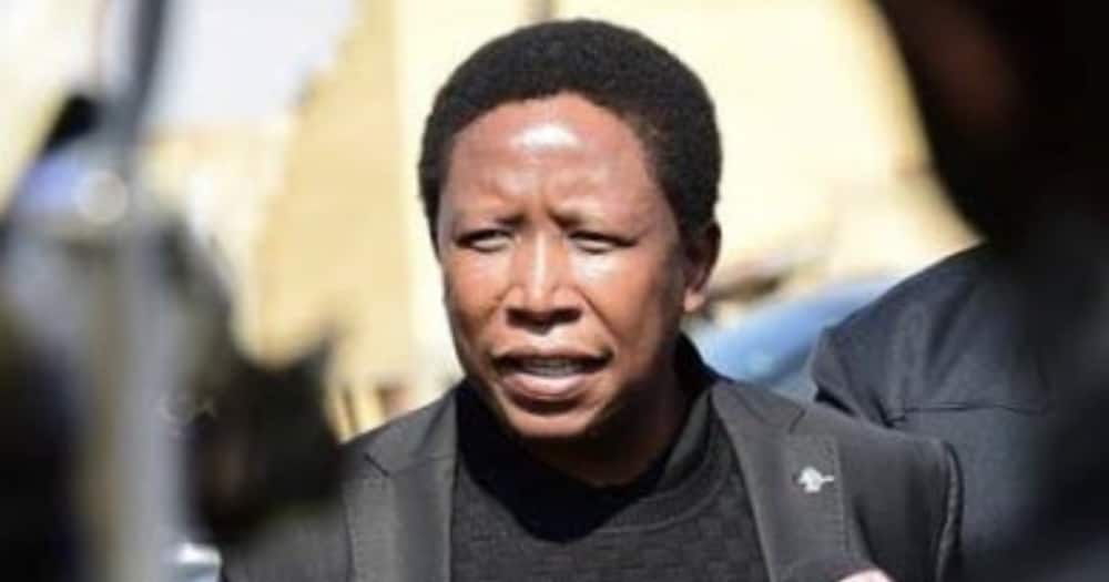 Happy Bday Juju: Wishes Pour in as Julius Malema Turns 40 This Week