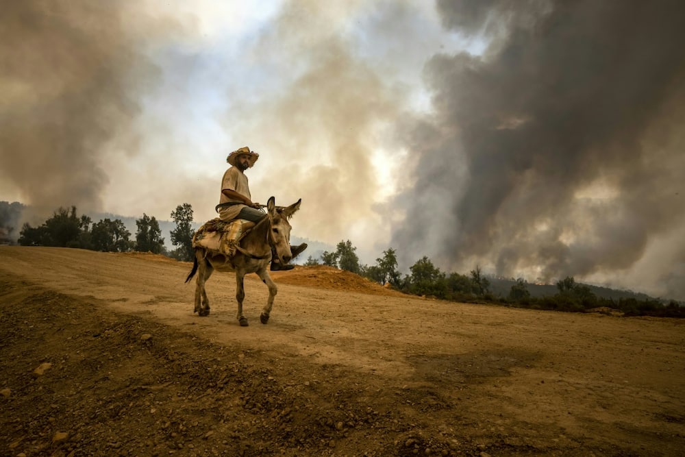 A villager rides a donkey as a cloud of smoke from a forest fire rises near Ksar el-Kebir in the Larache region, on July 15, 2022