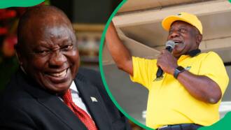 Cyril Ramaphosa's net worth: How rich is SA's 5th president?