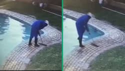 Viral TikTok video of gardener falling into pool amuses South Africans online