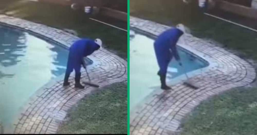 A gardener hilariously fell into a pool in a TikTok video.