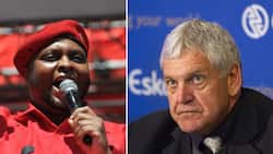 Eskom COO blasted as Shivambu leads call for Oberholzer to quit following de Ruyter’s dramatic resignation