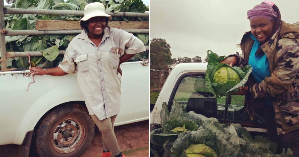 A lady who was an accountant left her career to work as a veggie farmer