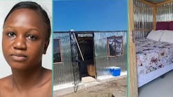 "It doesn't cost much": Lady builds portable house with zinc and wood, photos trend online