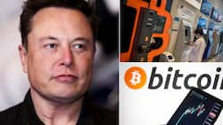 Elon Musk says Tesla is suspending Bitcoin payments, investors react