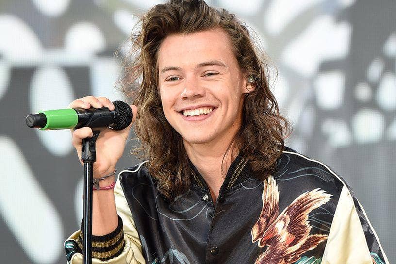 Harry Styles Net Worth Age Career Daughter Girlfriend Album