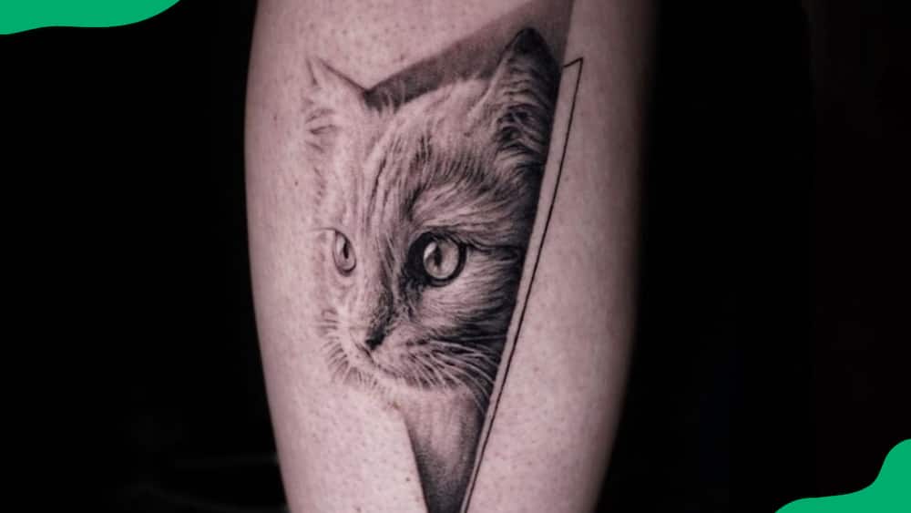 Perfect picture cat tattoo