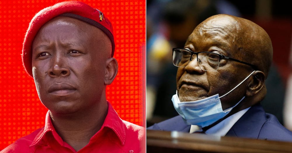 EFF Leader Julius Malema Says Seeing Zuma Going To Jail Was Painful