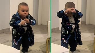Little boy does Zulu dance for family in TikTok video, indlamu delights SA in TikTok video