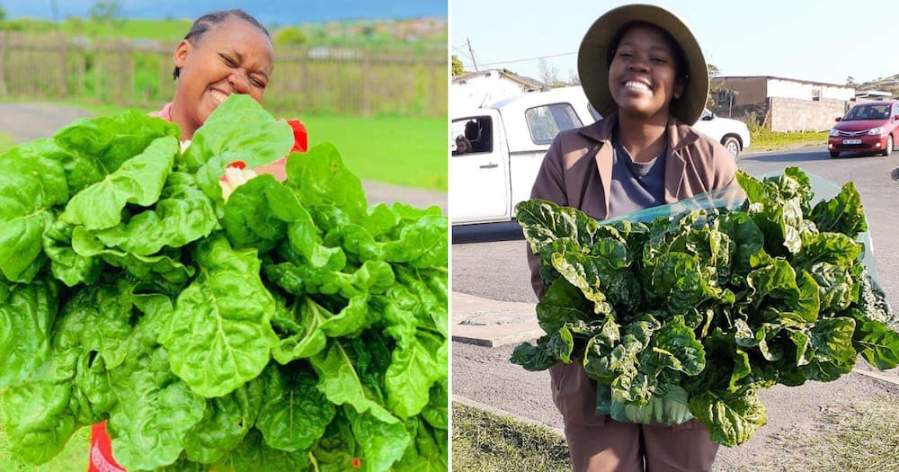 The farmer from KZN finds joy and peace through working with soil and gardening