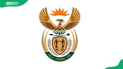 Home Affairs passport application in 2023: everything you need to know