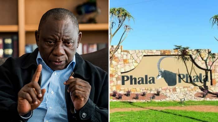 No, President Cyril Ramaphosa’s Phala Phala game farm is not being sold for R100 million in Dubai