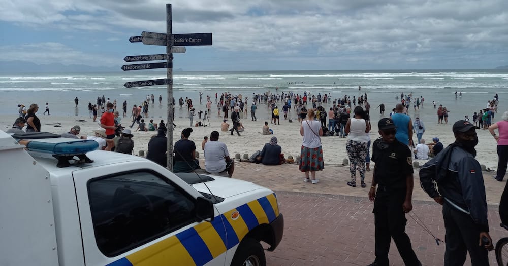EFF accuses the police of racism in their handling of beach protests