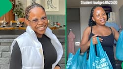 South African student shows off budget-friendly r520 grocery haul, Mzansi asks about meat