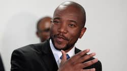 Mmusi Maimane launches a petition to end the 30% pass mark, says it will hurt South Africa's economy