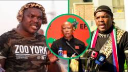 Ngizwe Mchunu set to rival EFF's Durban manifesto with his Cultural Carnival