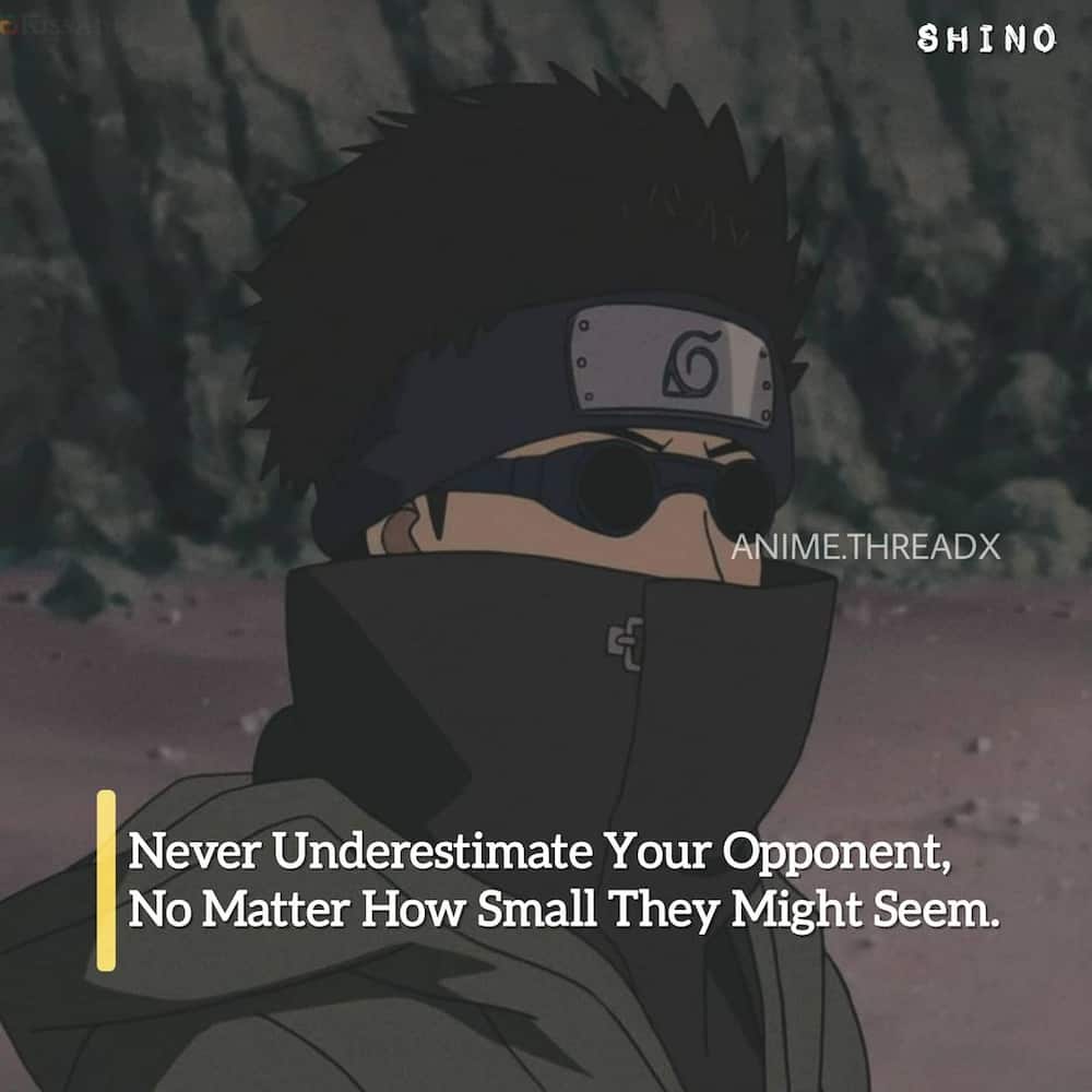 100+ best anime quotes of all time that are inspirational 