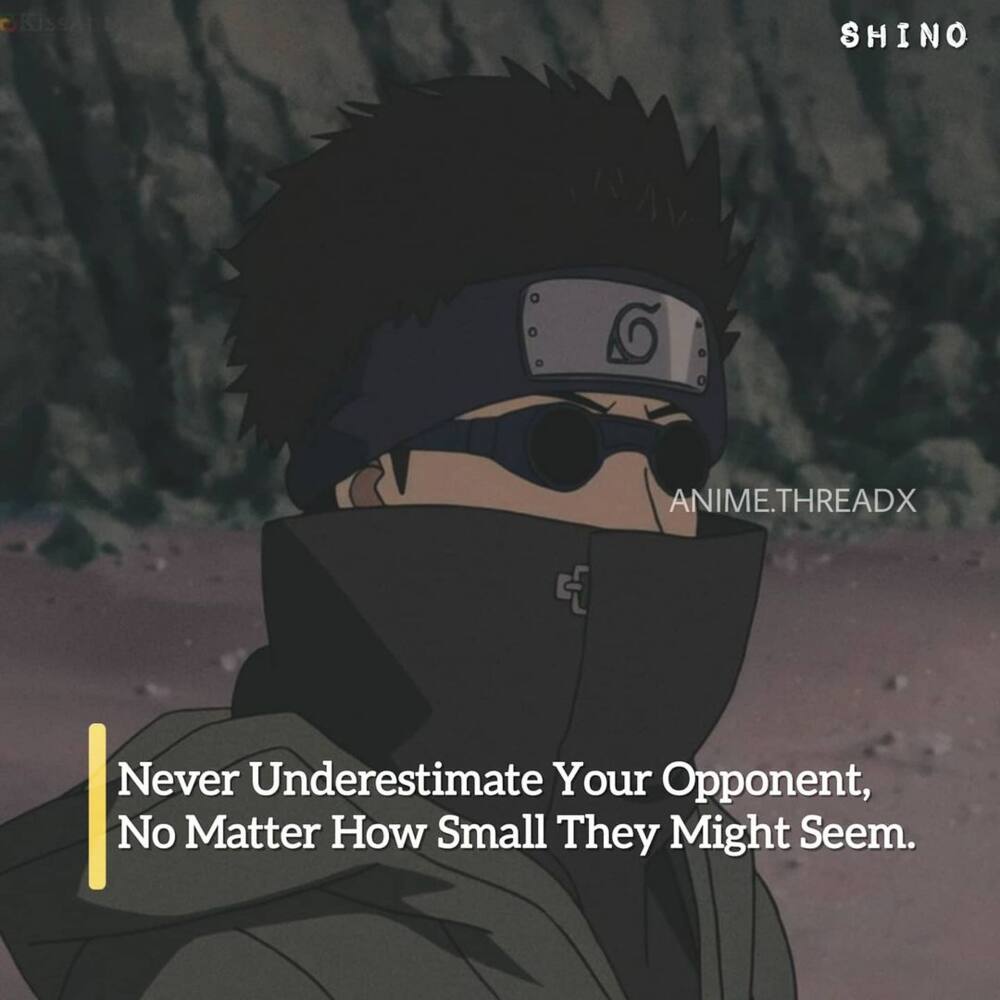 Popular anime quotes