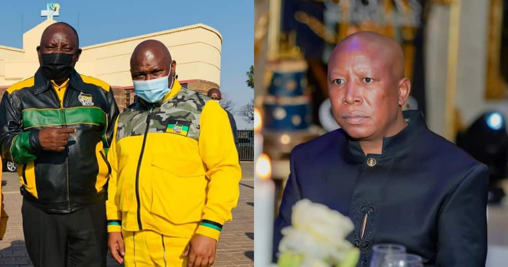 Ramaphosa, Malema, tragic death, Johannesburg Executive Mayor Jolidee Matongo, reactions, breaking, politics