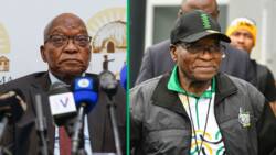 Former ANC President Jacob Zuma under fire as netizens accuse him of dividing the party